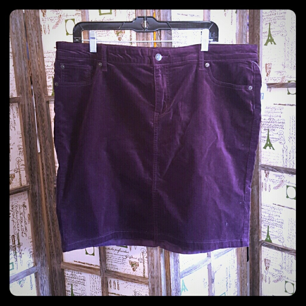 🌻 NWT Plum Gap Mini Skirt